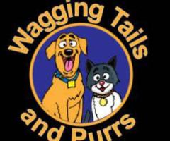Wagging Tails and Purrs